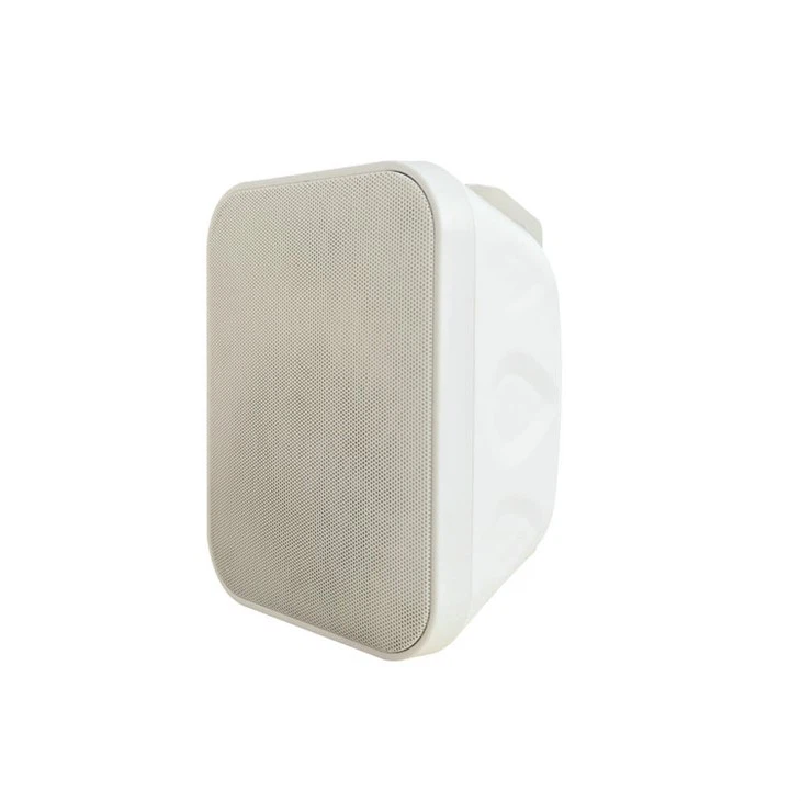 Wall Mounted Pa Speakers